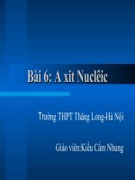 Bai 6 A. Nucleic