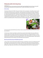 Những thực phẩm tránh dùng chung