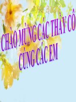 sinh san vo tinh o thuc vat