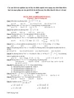 trẵc nghiệm DS 10 - chương 3 - hương vinh