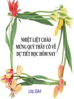 Bài 30 - Clo (tiết 1)