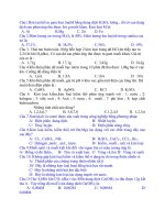 bai kiem tra 45 -so 2 ki 2