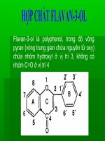 báo cáo hợp chất thiên nhiên 19
