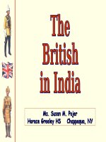 Ấn Độ cuối thế kỉ XIX