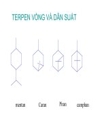 báo cáo hợp chất  thiên nhiên 15