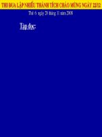 CHUYÊN ĐỀ TIẾNG VIỆT