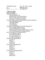 Kiểm tra Vật lý 7