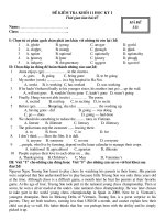 Đề tjhi học kì I L11.2008 Đã kiểm định