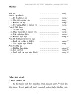 phát triển tư duy qua bài toán hình 9