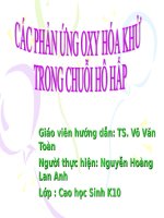 Nang luong sinh hoc