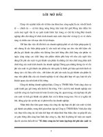 Tổ chức công tác kế toán tập hợp chi phí sản xuất và tính giá thành sản phẩm tại Công ty TNHH Hiển Vinh