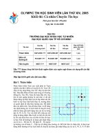 Olympic tin học sinh viên lần thứ XIV, 2005 khối thi cá nhân chuyên tin học