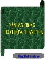 Văn bản thanh tra