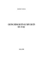 Chương trình chuyên sâu THPT chuyên Tin học