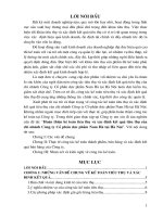 Hoàn thiện kế toán tiêu thụ và xác định kết quả tiêu thụ của chi nhánh Công ty cổ phần Dược phẩm Nam Hà tại Hà Nội
