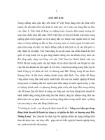 Nâng cao hiệu quả hoạt động kinh doanh lữ hành tại công ty cổ phần du lịch và thương mại Bắc Thăng Long