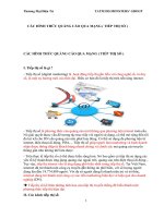 Các hình thức quảng cáo qua mạng, tiếp thị số 2