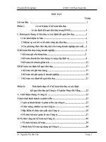 Công tác Kế toán tiêu thụ và xác định kết quả tiêu thụ tại CTCP Nhựa Đà Nẵng 