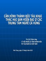 Cần hình thành đội tàu khai thác hải sản hiện đại ở các trung tâm nghề cả vùng