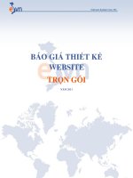 Báo cáo thiết kế website trọn gói EVN
