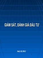 Giam sát, đánh giá, đầu tư