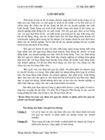 Hoàn thiện kế toán xác định kết quả tài chính và phân phối kết quả tài chính tại Công ty phát triển tin học, công nghệ và môi trường