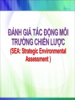 Bài giảng Đánh giá tác động môi trường chiến lược