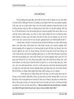 Hoàn thiện kế toán doanh thu, chi phí, xác định kết quả kinh doanh tại Công ty thực phẩm miền Bắc