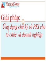 Giải pháp ứng dụng chữ kí số PKI cho tổ chức và doanh nghiệp