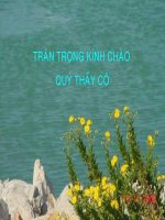 Khảo sát tần suất HBsAg (+) và các yếu tố liên quan trên bà mẹ mang thai tại tỉnh Bạc Liêu từ 09/03/2003 đến 30/08/2003