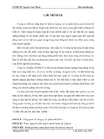 Thực trạng tổ chức hạch toán kế toán tại Công ty cổ phần MEINFA