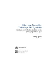 Hiểm họa tự nhiên, Thảm họa phi tự nhiên