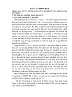 Báo cáo tổng hợp về một số vần đề chung tại Công ty vietel, tình hình thực tế tổ chức công tác kế toán tại Công ty