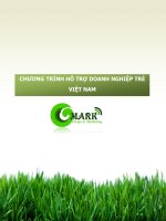 Chương trình hỗ trợ doanh nghiệp trẻ việt nam