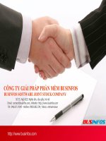 Công ty giải pháp phần mềm Buisinfos