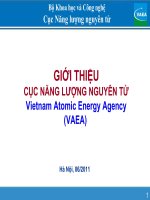 Giới thiệu cục năng lượng nguyên tử