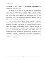 Chiến lược định vị thương hiệu Tomato của Viettel (Bài tập marketing)