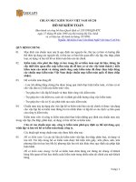 Chuẩn mực kiếm toán Việt nam số 230