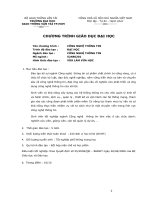 Chương trình giáo dục đại học công nghệ thoogn tin