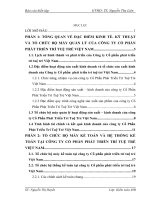 Tổ chức bộ máy kế toán và hệ thống kế toán tại Công ty cổ phần phát triển trí tuệ trẻ Việt Nam