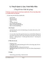 Lý Thuyết Quản Lý Quy Trình Phần Mềm