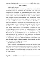 Hoàn thiện kiểm toán doanh thu trong kiểm toán báo cáo tài chính do Công ty Kế toán Kiểm toán Tư vấn Việt Nam thực hiện