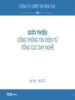Giới thiệu Cổng thông tin ddienj tử tổng cục dạy nghề