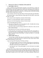 tiểu luận marketing