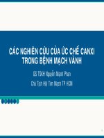 Các nghiên cứu của ức chế canxi trong bệnh mạch vành