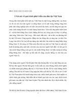 Vài nét về quá trình phát triển của dân tộc Việt Nam