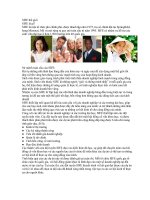 SIFE thế giới là gì