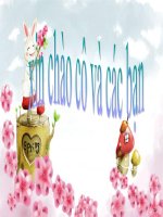 Vùng kinh tế trọng điểm môi trường dưới góc nhìn mật độ khoảng cách