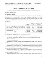 Thuyết minh Báo cáo tài chính 