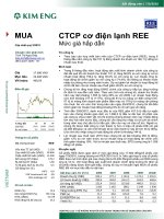 20100907 KEVS REE 2Q10 update